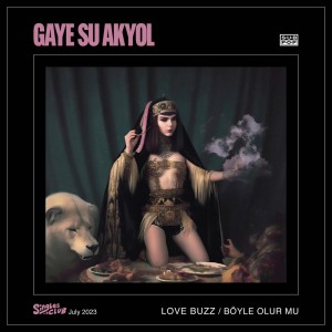 Gaye Su Akyol的專輯Love Buzz