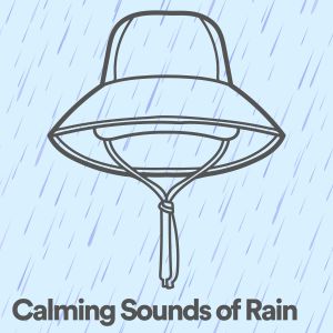 Album Calming Sounds of Rain from 