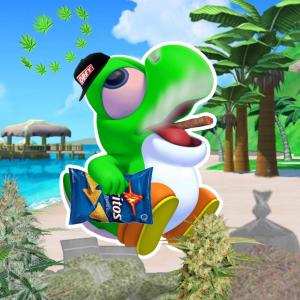 default playlist img