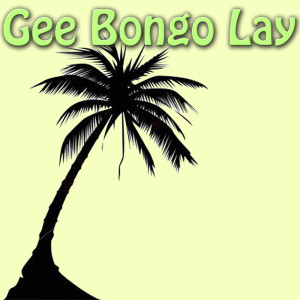 收听Charlie Binger的Jamaica Is The Place To Go歌词歌曲