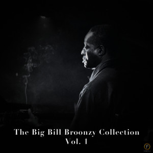 ดาวน์โหลดและฟังเพลง Careless Love พร้อมเนื้อเพลงจาก Big Bill Broonzy