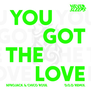 Album You Got The Love (D.O.D Remix) from Afrojack