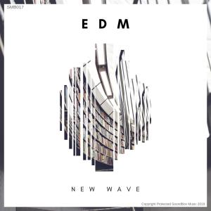 Various Artists的專輯EDM New Wave 5