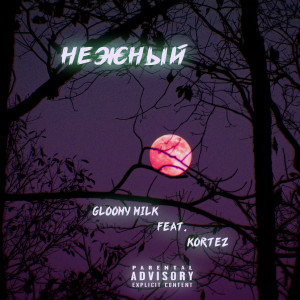 Album Нежный (feat. Kortez) from Gloomy milk