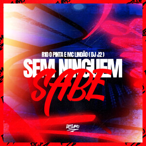 Album Sem Ninguem Saber from 