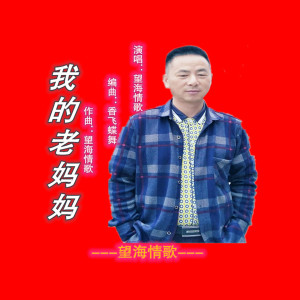 收聽望海情歌的我的老媽媽歌詞歌曲