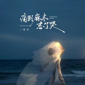 赵洋的专辑痛到麻木忘了哭（DJ京仔版）
