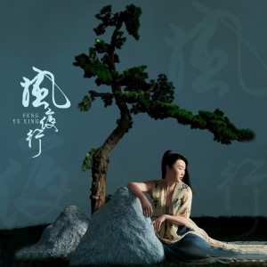Listen to 风夜行 (DJ沈念_Remix) song with lyrics from 蒋雪儿