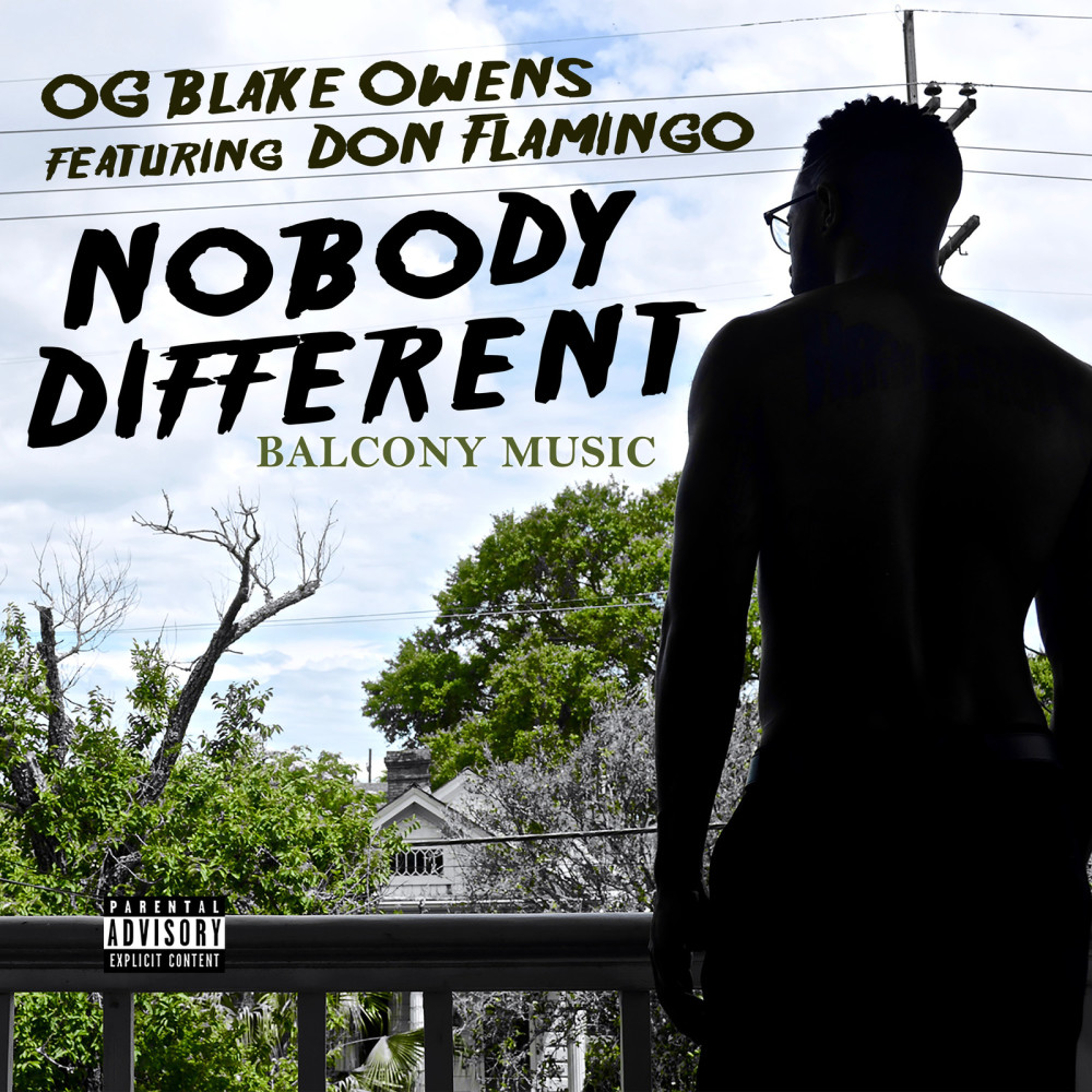 Nobody Different (feat. Don Flamingo) (Explicit)