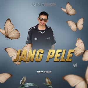 default album img