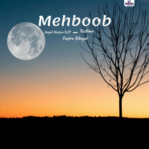 Album Mehboob from Reshma