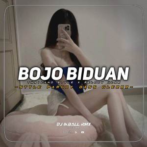 收聽DJ IKBALL RMX的DJ BOJO BIDUAN THAILAND STYLE X MELODY ULAR歌詞歌曲