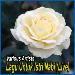 Album Lagu Untuk Istri Nabi (Live) oleh Various Artists