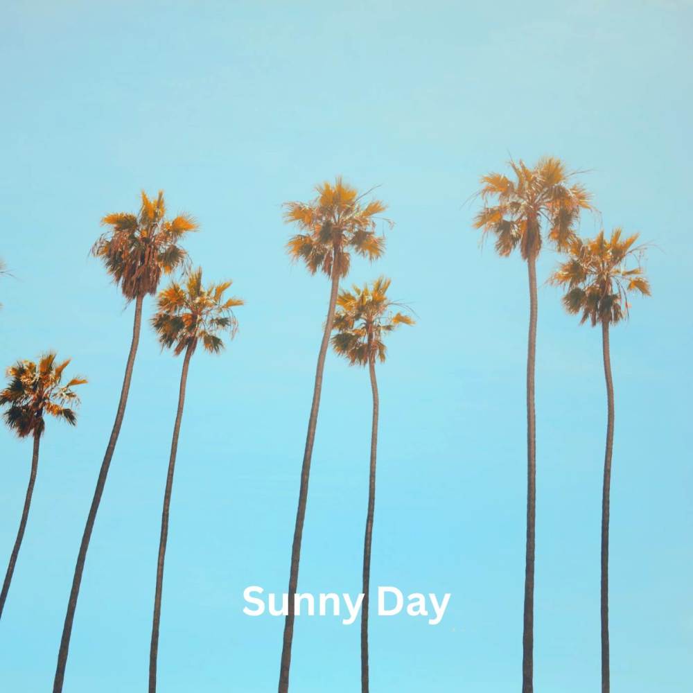 Sunny Day