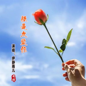 Album 只是太爱你 - 伊静雨儿 from 伊静雨儿