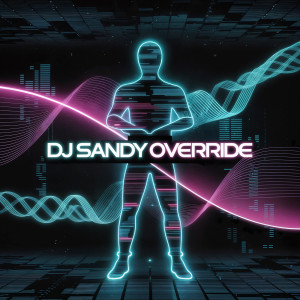 Listen to Override song with lyrics from DJ Sandy