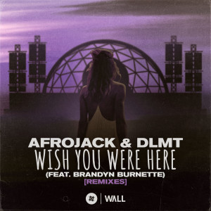 收聽Afrojack的Wish You Were Here (feat. Brandyn Burnette) (Karim Meknassi Remix)歌詞歌曲