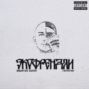 Listen to Экофрендли (Explicit) song with lyrics from Синтетика