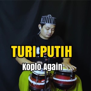 Dengarkan Turi Putih lagu dari KOPLO AGAIN dengan lirik