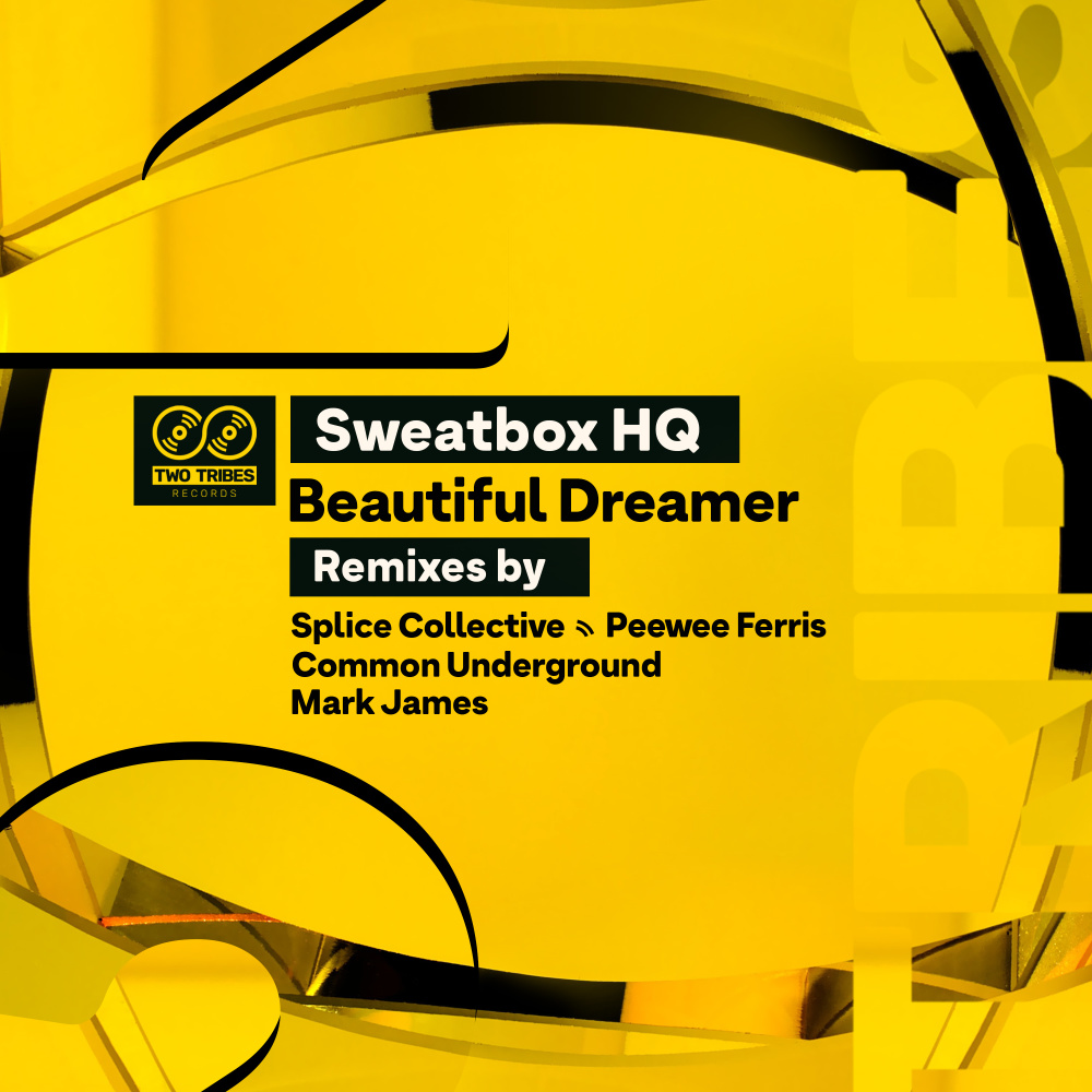 Beautiful Dreamer (Mark James Melbourne Café Remix)