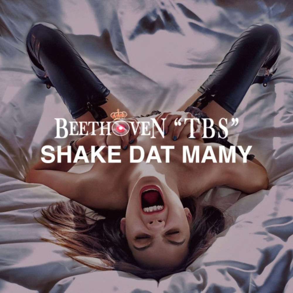 Shake Dat Mamy (Original Shake Mix)