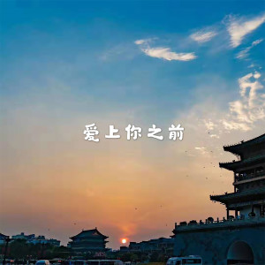 Album 爱上你之前 from 