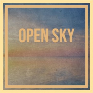 Album Open Sky (Explicit) from 