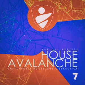 Various Artists的專輯House Avalanche, Vol. 7