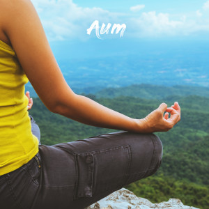 Aum Meditación的專輯Meditation