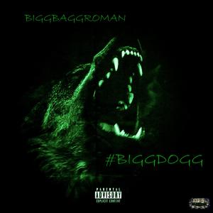 Album #BIGGDOGG (Explicit) from BiggBaggROMAN