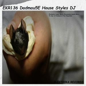 Dadmau5e House Styles DJ Tools