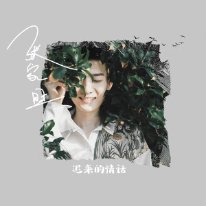 Listen to 迟来的情话 (伴奏) song with lyrics from 张家旺