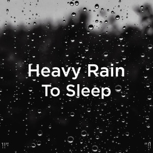ดาวน์โหลดและฟังเพลง Rain Sounds For Sleeping พร้อมเนื้อเพลงจาก Meditation Rain Sounds