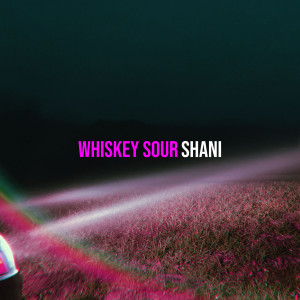 Listen to Whiskey Sour song with lyrics from Shani