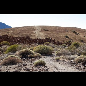 Listen to Feed Your Soul song with lyrics from Relaxing Music