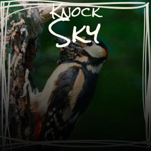 Album Knock Sky from Various