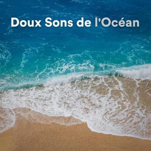 Vagues de l'océan的專輯Doux Sons de l'Océan