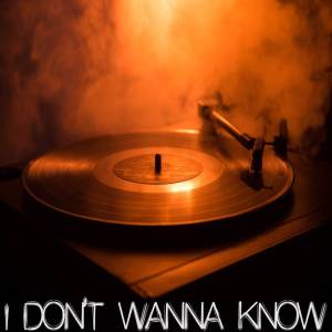 Vox Freaks的專輯I Don't Wanna Know (Originally Performed by Fleetwood Mac) [Instrumental]