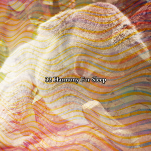 Album 33 Harmony For Sleep oleh Sleep Sounds Ambient Noises