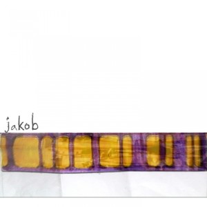 ดาวน์โหลดและฟังเพลง Fortuitous พร้อมเนื้อเพลงจาก Jakob