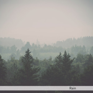 อัลบัม Rain ศิลปิน Regengeluiden