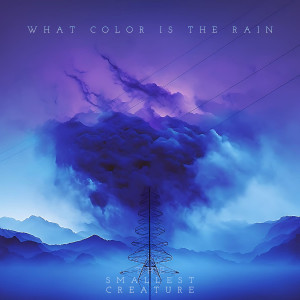 Album What Color Is the Rain from The smallest Creature