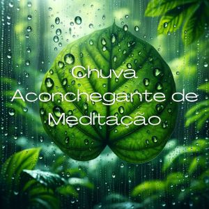 Hipnose Natureza Sons Coleção的专辑Chuva Aconchegante para Meditação (Música Relaxante e Sons para Yoga, Spa e Sono)