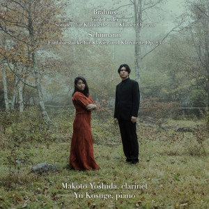 Yu Kosuge的專輯Brahms:Complete Clarinet Sonatas / Schumann:Fantasiestucke, etc.