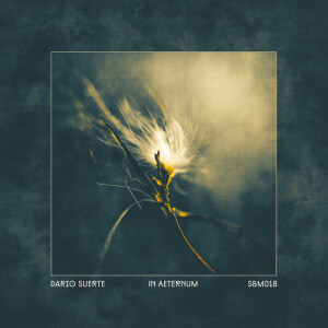 Album In Aeternum from Dario Suerte
