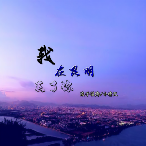 ดาวน์โหลดและฟังเพลง 我在昆明弄丢了你 พร้อมเนื้อเพลงจาก 浪子强涛