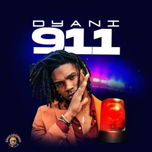 D'Yani的專輯911