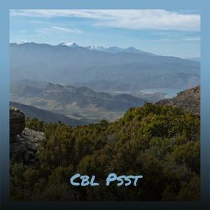 Album Cbl Psst from Various