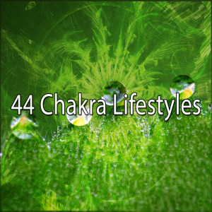 44 Chakra Lifestyles