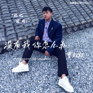 Album 《没有我你怎么办》 from 